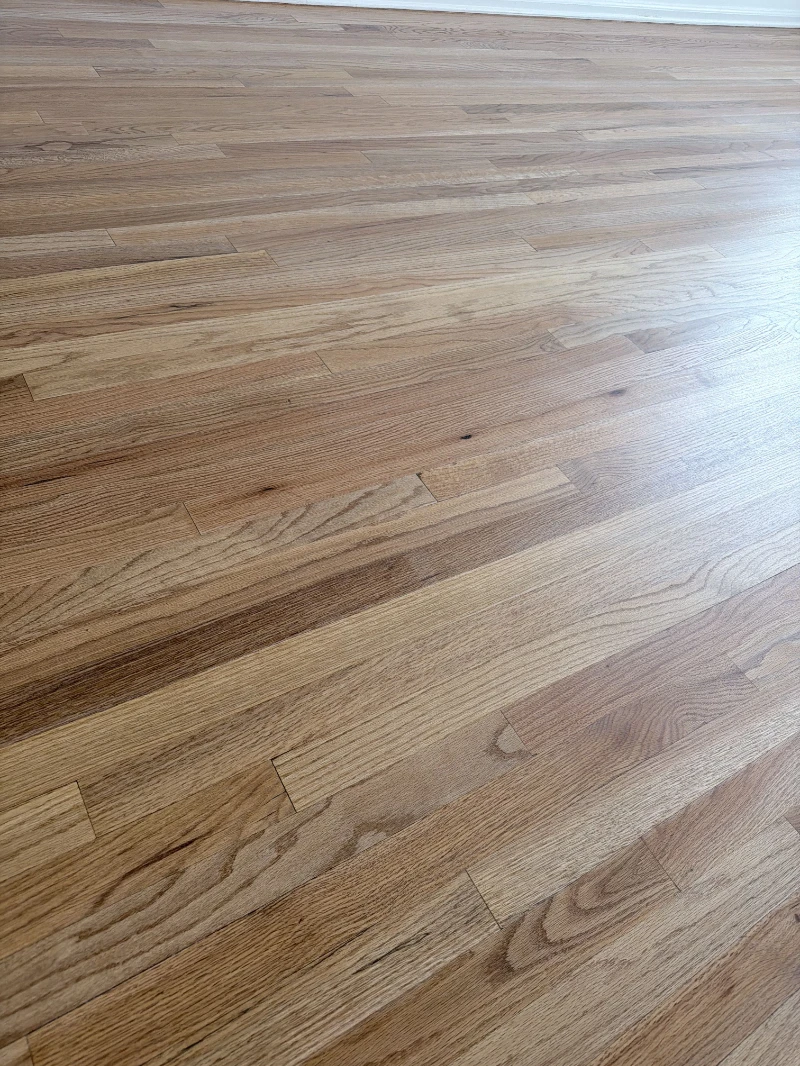 Close view of refinished red oak, grain and sanding direction visible under raking light